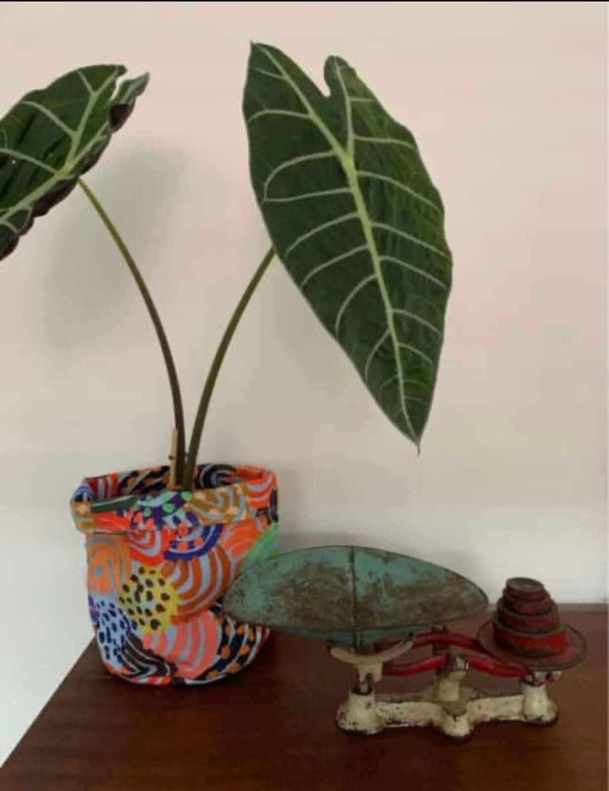 Kitchen SCALES Cast Iron w Weights Complete Dish Balance Display Rustic Antique