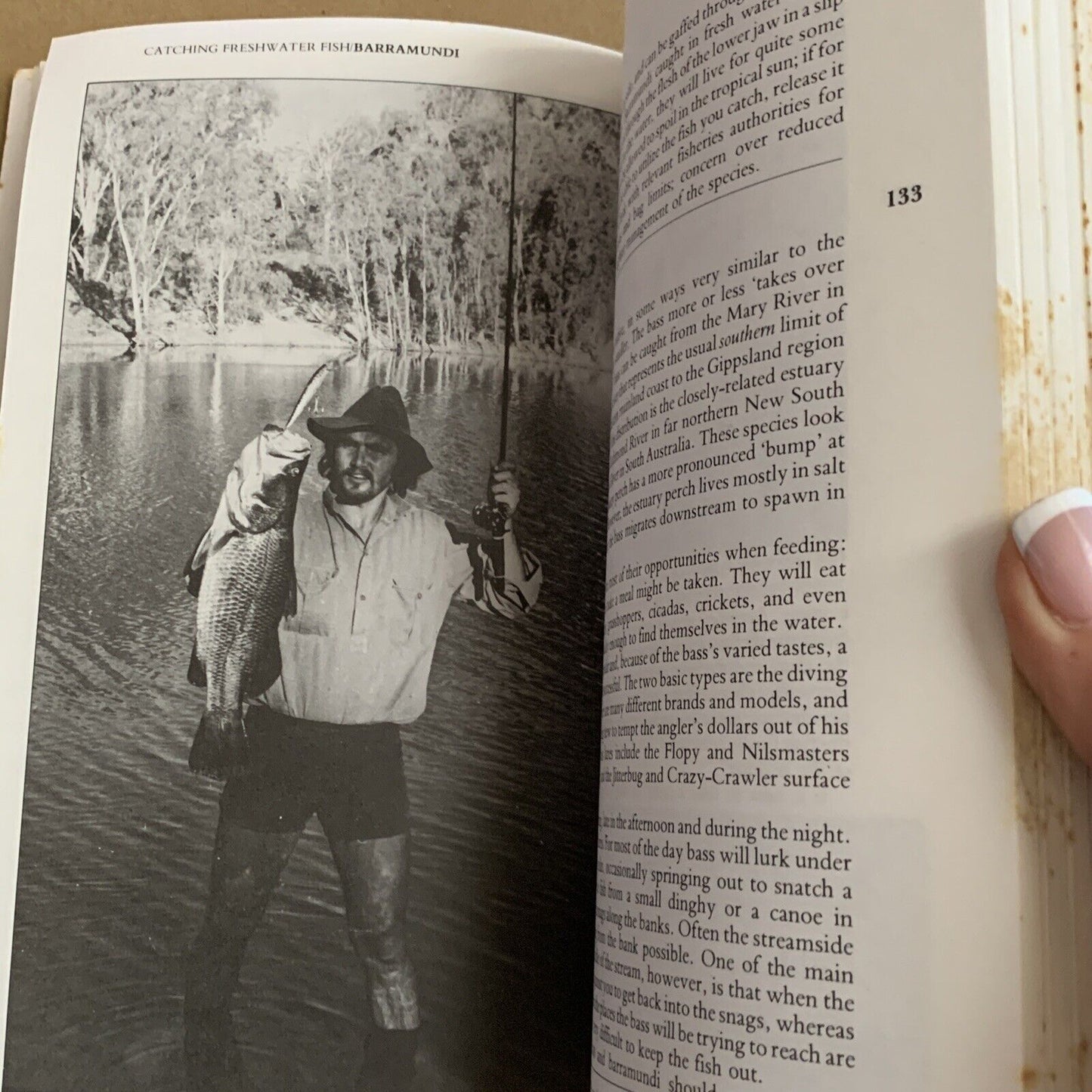 PB Book GREGORYS FISHING GUIDE BOOK 10th 1982 Foxing Illustrated Fish Catalogue