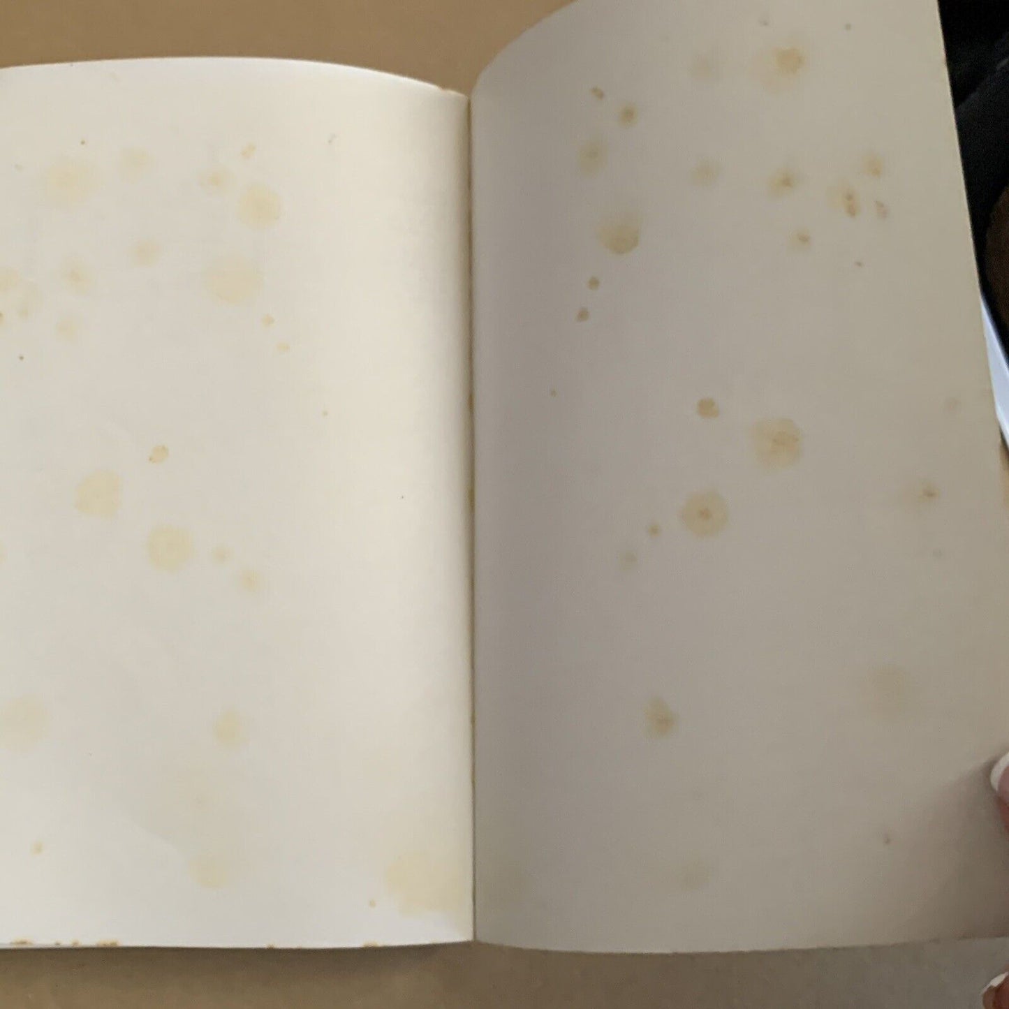 PB Book GREGORYS FISHING GUIDE BOOK 10th 1982 Foxing Illustrated Fish Catalogue