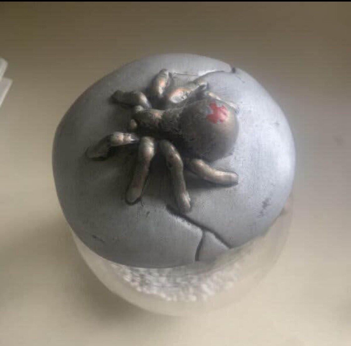 25cm Glass Fish Bowl TERRARIUM Ceramic Red Back SPIDER On Lid set up ready to go