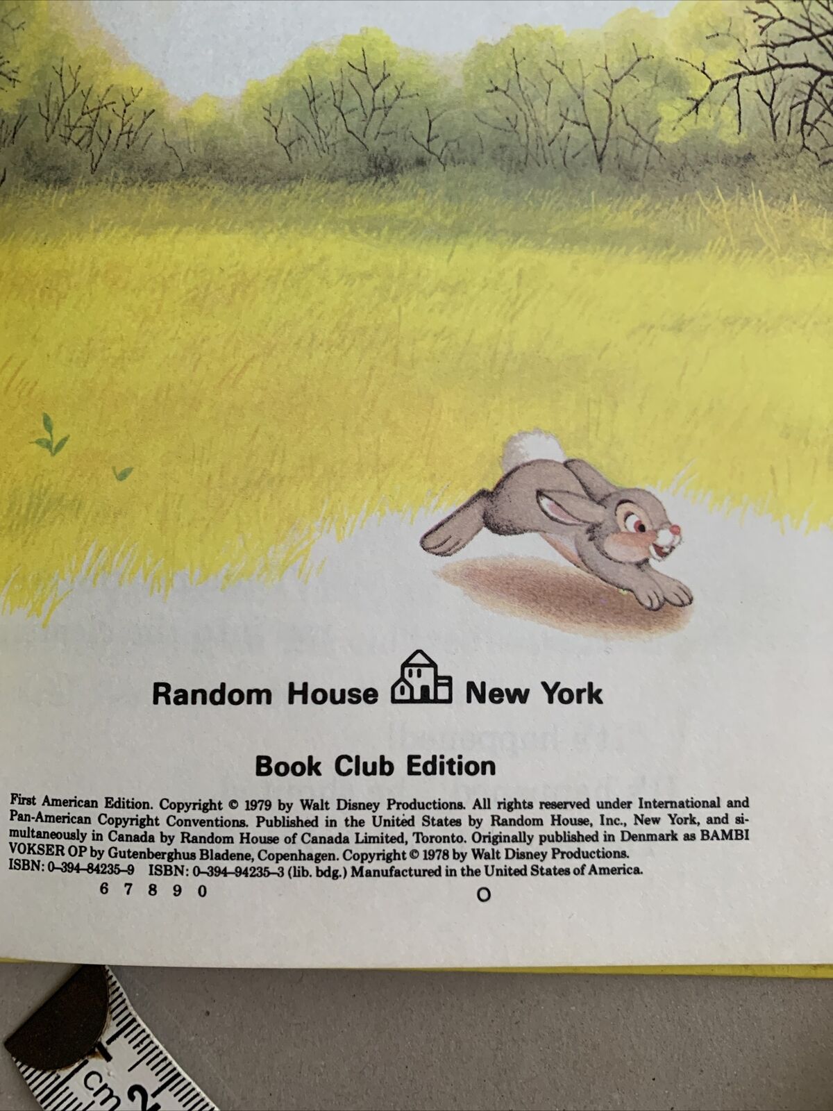 HC Book BAMBI GROWS UP Walt Disney 1979 Club Edition Disneyland Vintage Disneys