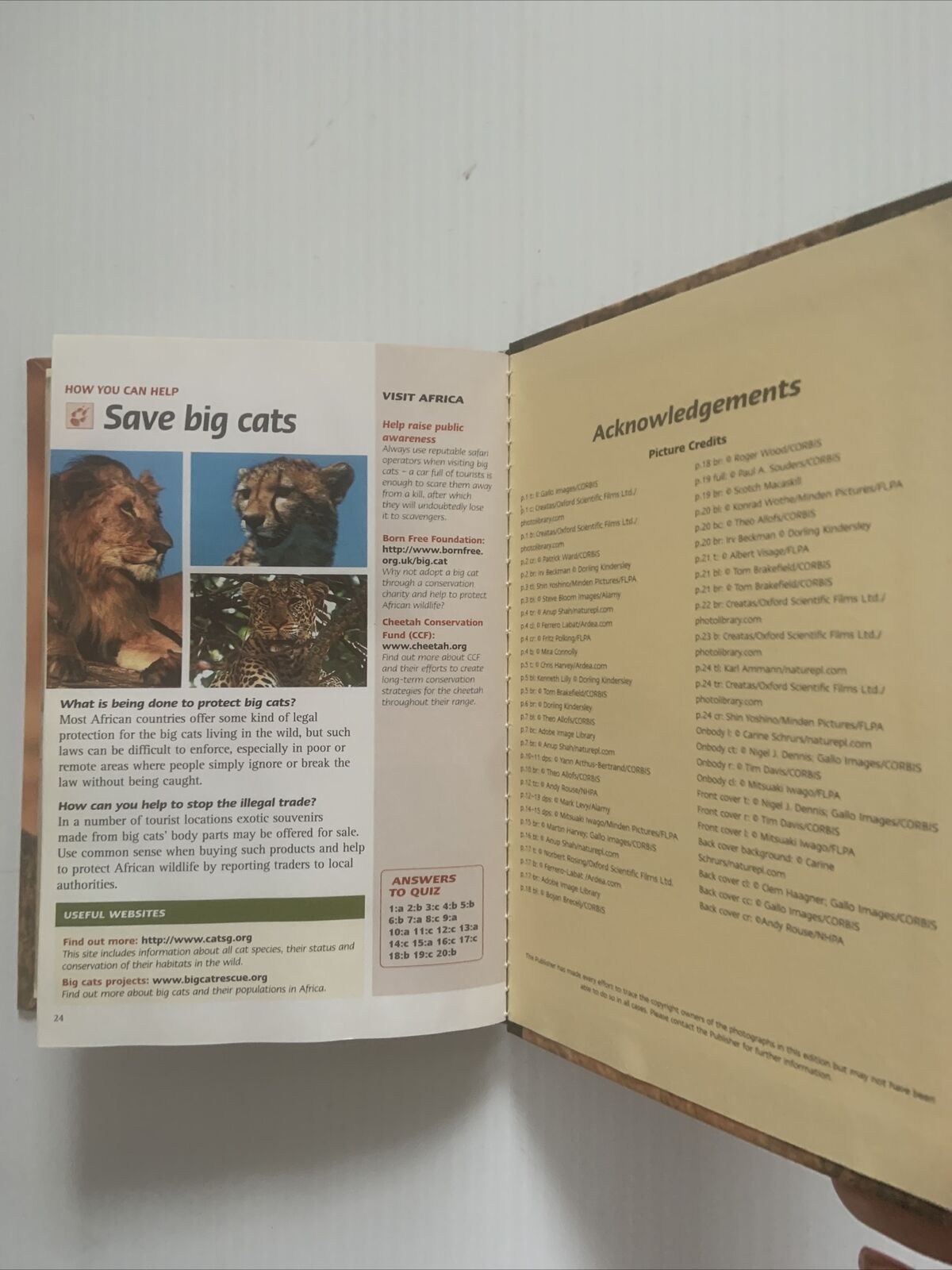 Book & DVD BIG CAT CHALLENGE Natural Killers Predators Close Up Documentary 2005