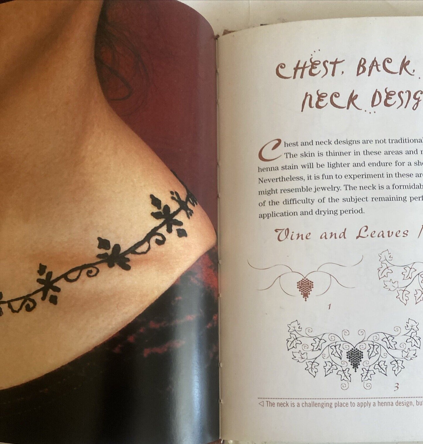 Henna From Head to Toe! by Norma Pasekoff Weinberg HC Book Instructions Designs
