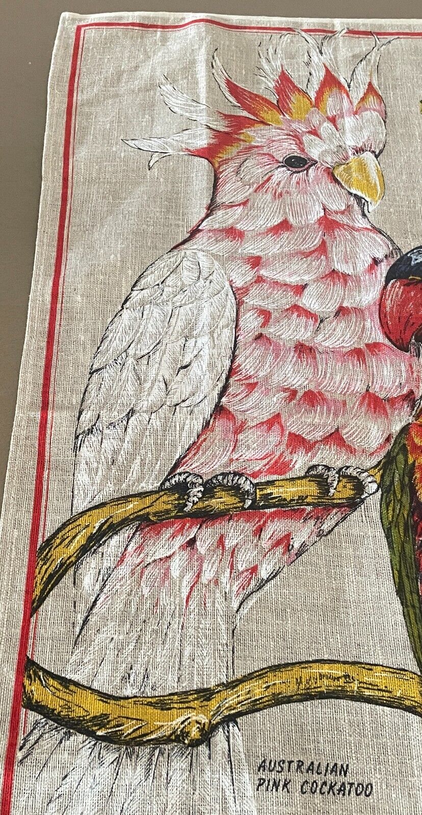 Tea Towel Colourful Australia Australian Pink Cockatoo Rainbow Lorikeet Print