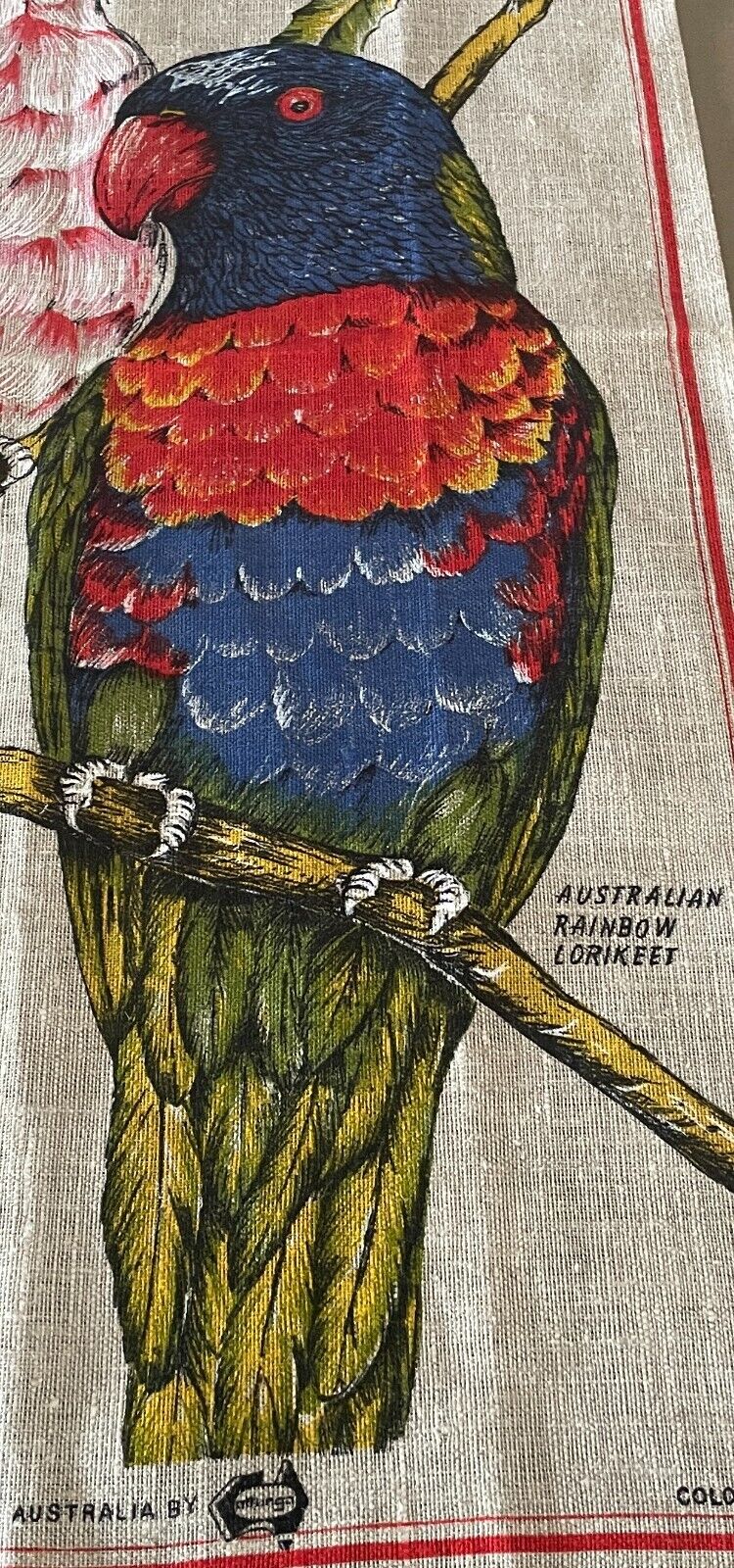 Tea Towel Colourful Australia Australian Pink Cockatoo Rainbow Lorikeet Print