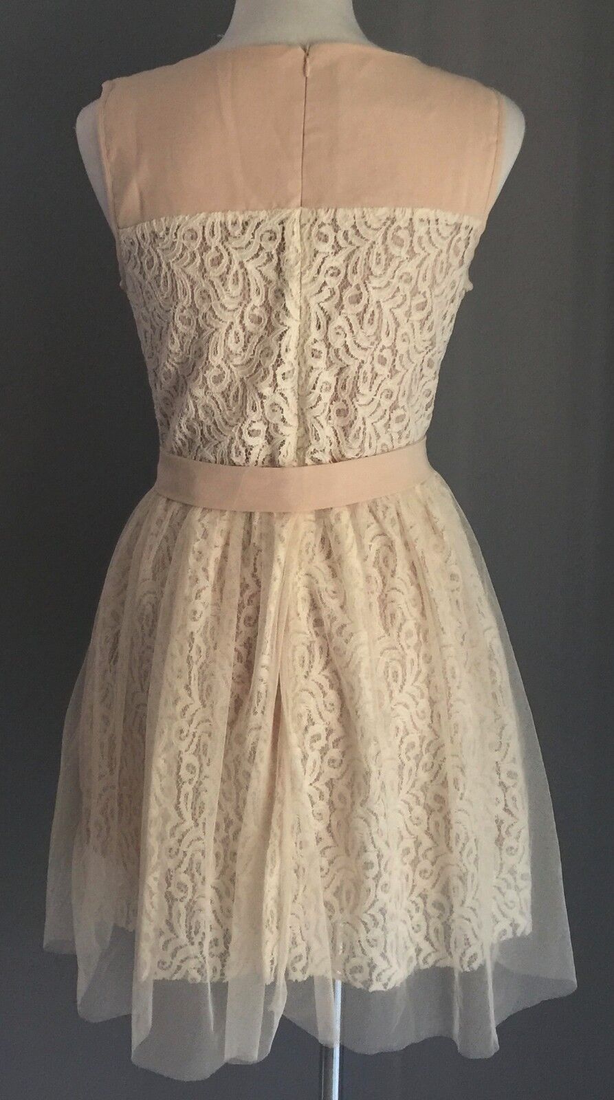 ABSOLUTELY & FAITH Tulle & Lace Fit & Flare Dress Beige Cream Ladies Size L NEW