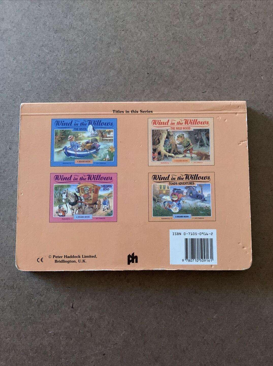 Wind in the Willows Toad’s Adventure Board Book Kenneth Grahame John Patience 96