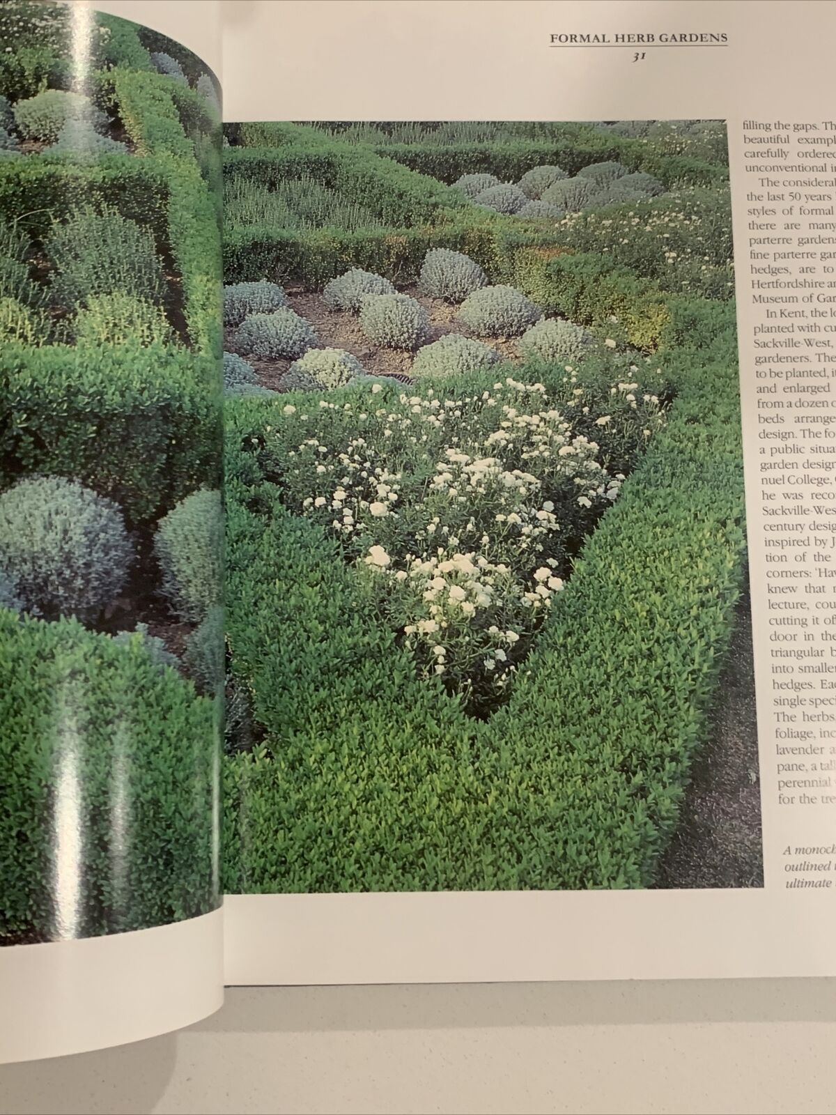 Vintage Geraldene Holts COMPLETE BOOK OF HERBS Reference Gardening HC 1991