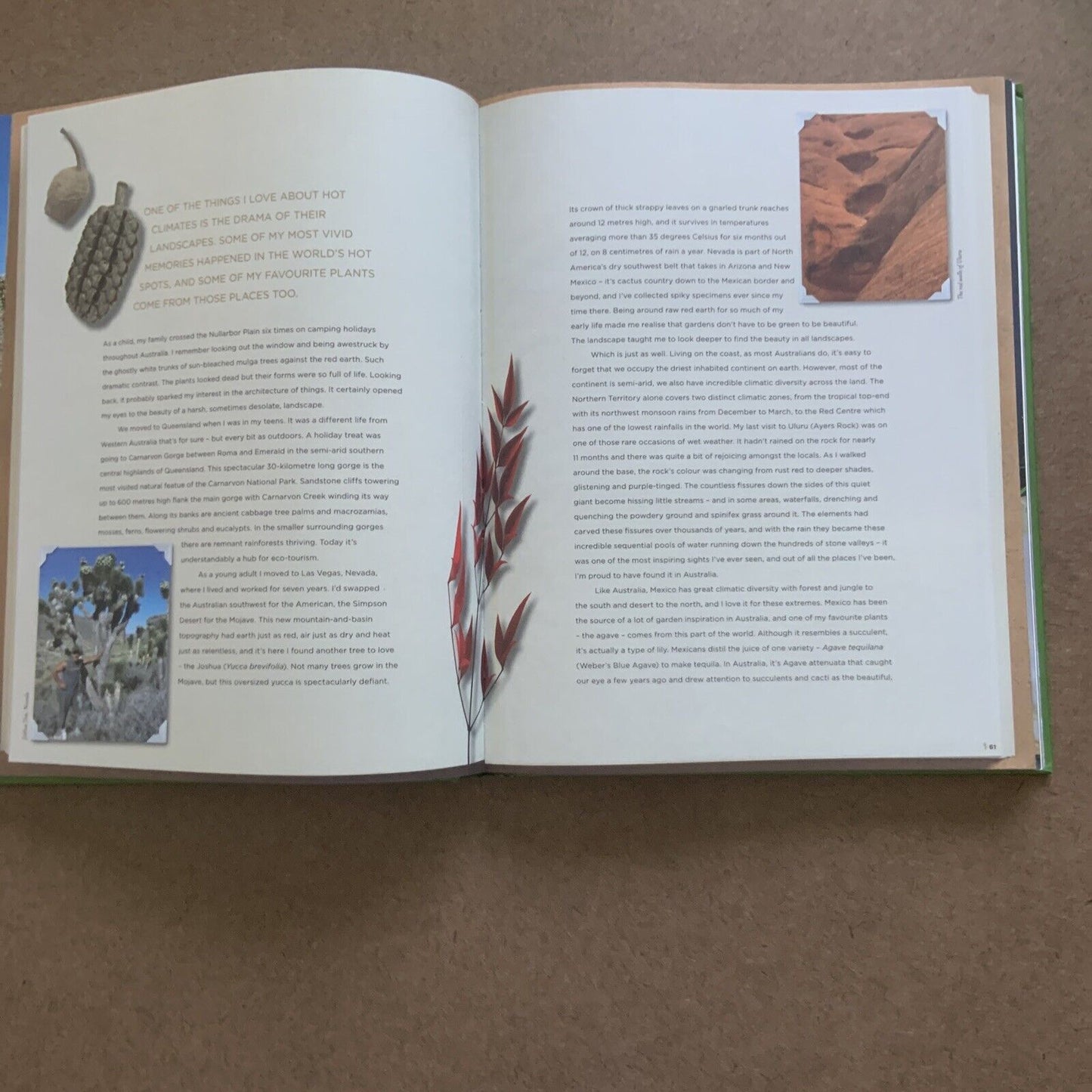 HC Book JAMIE DURIE The Ideas That Shape & Create My Design INSPIRED Garden