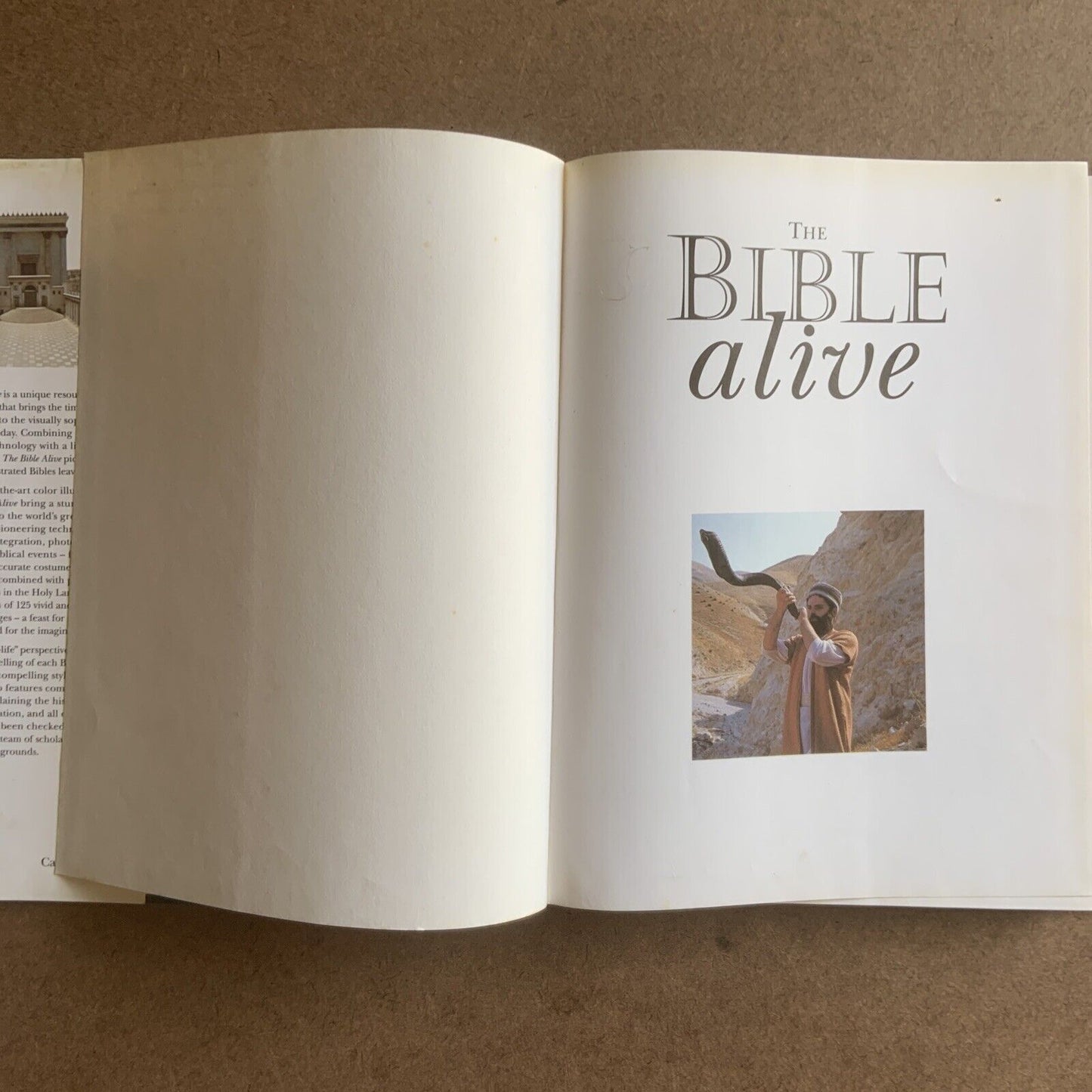 THE BIBLE ALIVE A Photographic Witness of the Great Events of the Bible Joh HCDJ