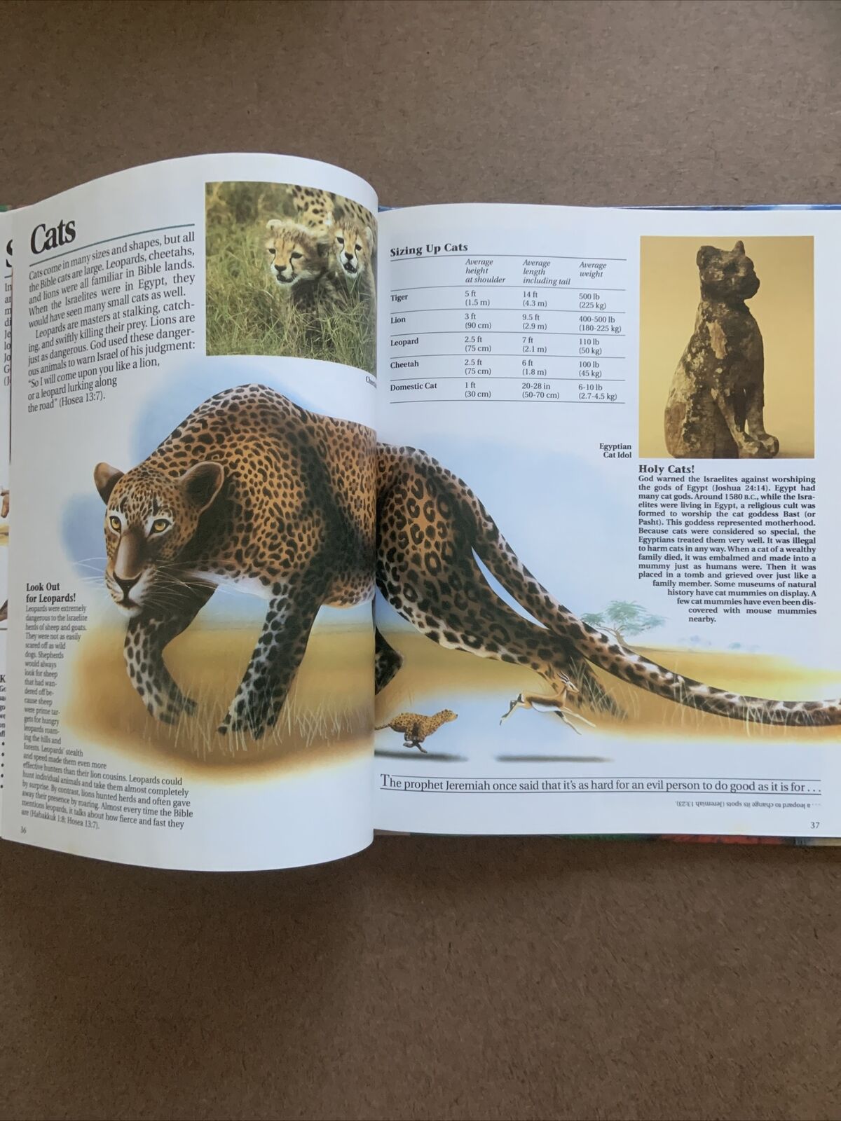 BIBLE ANIMALS The Bible Discovery Collection No 1 by Bruce B Barton HC Book