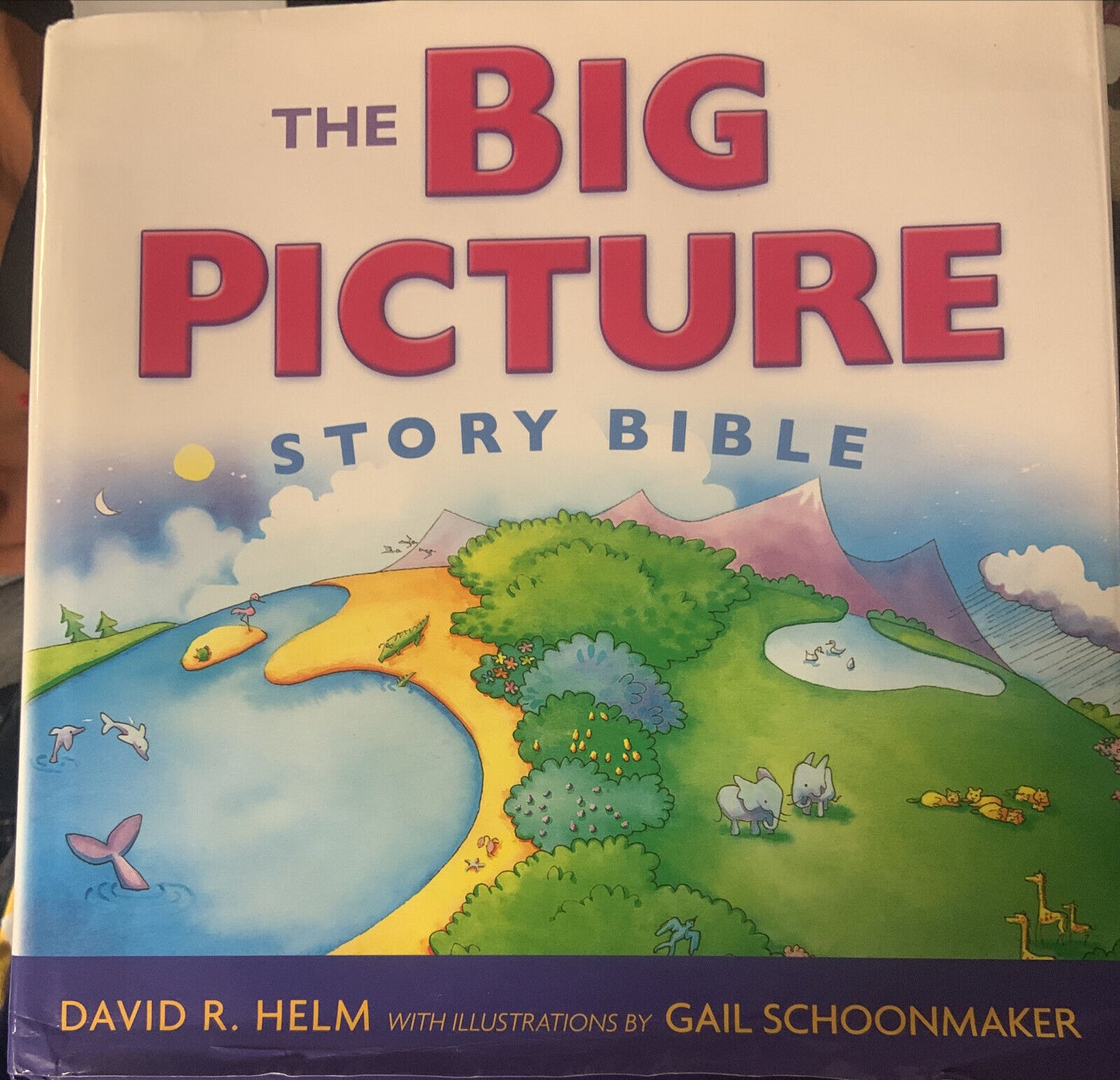 THE BIG PICTURE STORY BIBLE by David R Helm English HC Book Religious