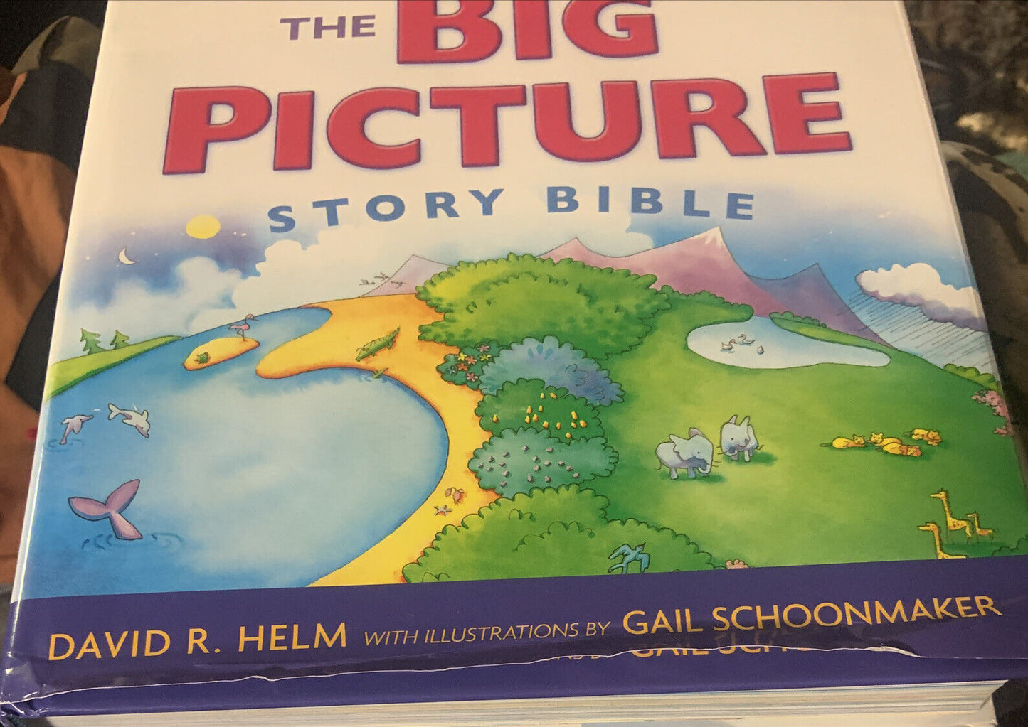 THE BIG PICTURE STORY BIBLE by David R Helm English HC Book Religious