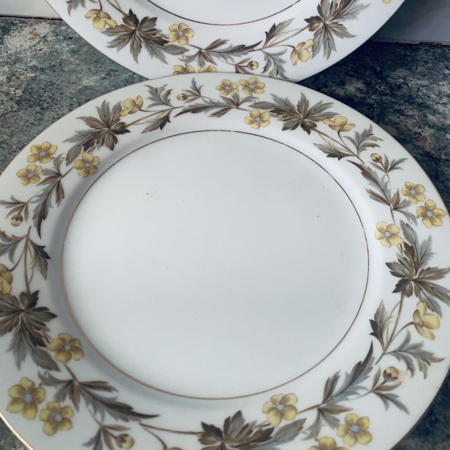 2x NORITAKE CHINA Lorraine 5320 SALAD Entree 23cm DINNER PLATE Japan