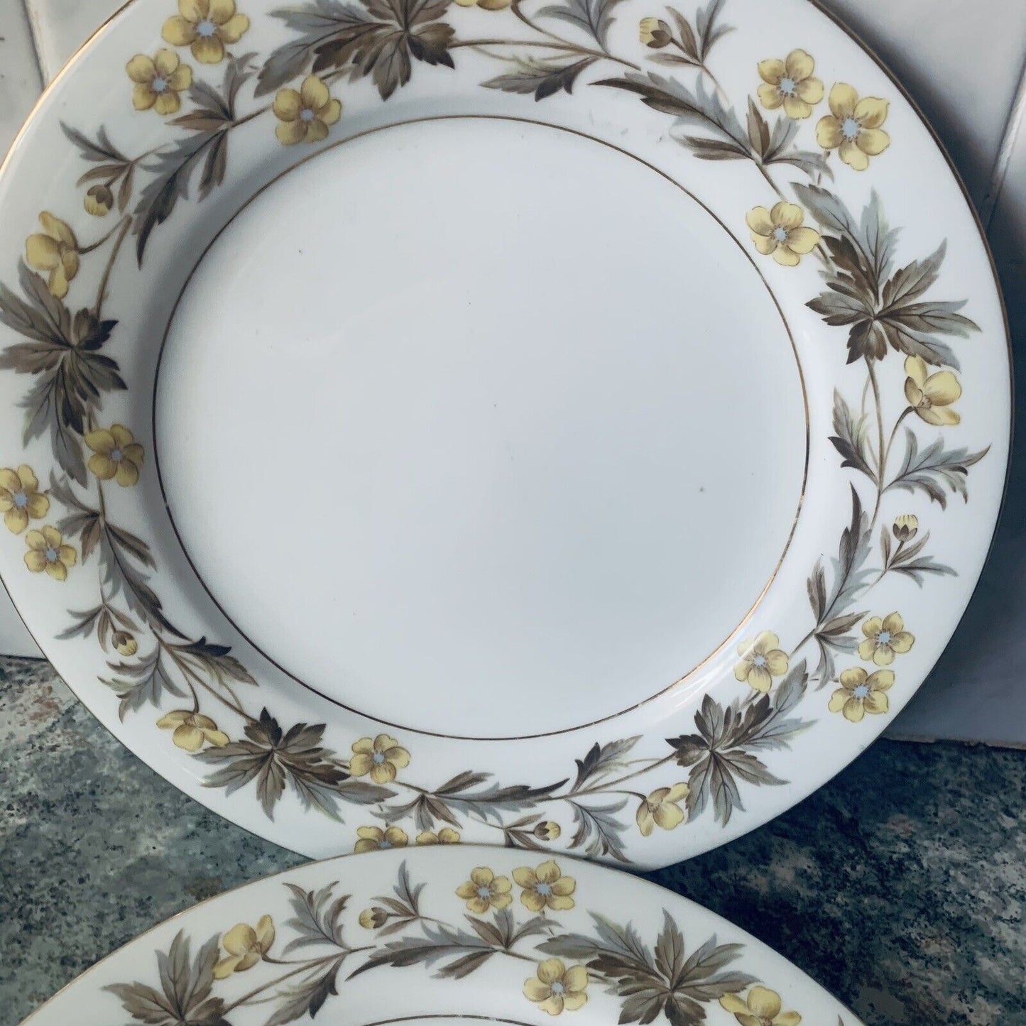 2x NORITAKE CHINA Lorraine 5320 SALAD Entree 23cm DINNER PLATE Japan