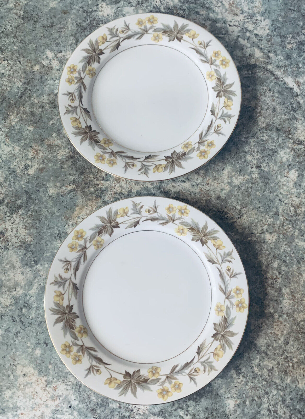 2x NORITAKE CHINA Lorraine 5320 SALAD Entree 23cm DINNER PLATE Japan