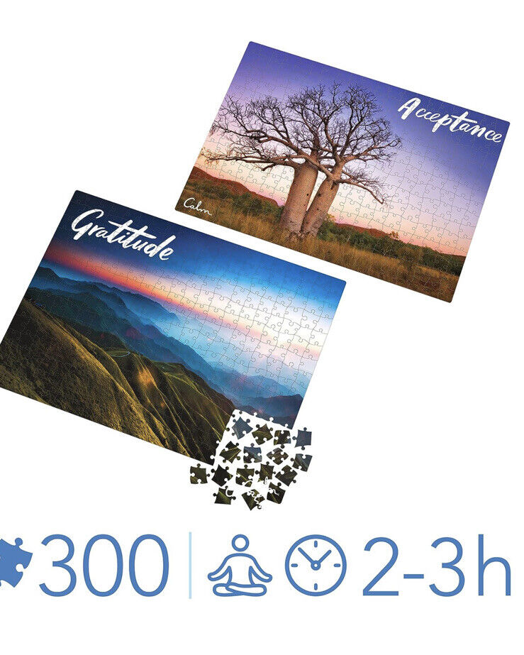 Spin Master CALM MINDFUL PUZZLES 7 Days Of Happiness In Gift Box