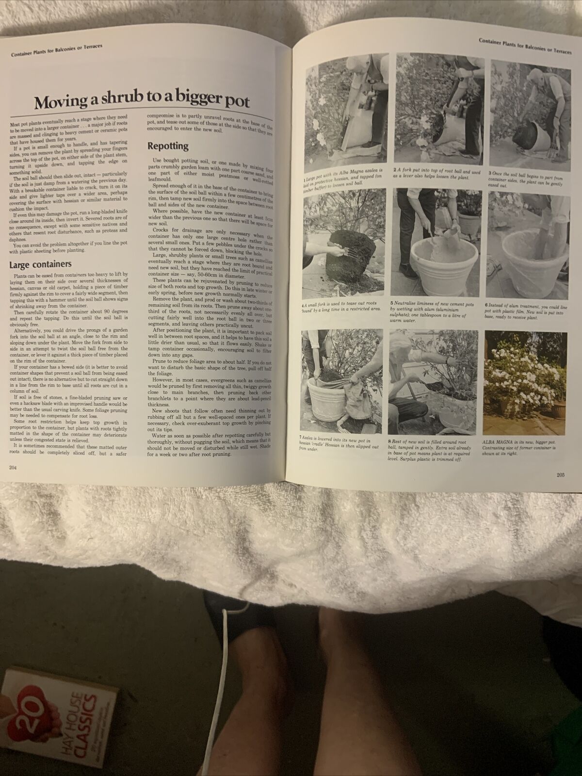 HC Vintage GARDENING BOOK by Allan Seale Large Book Australia Womens Weekly