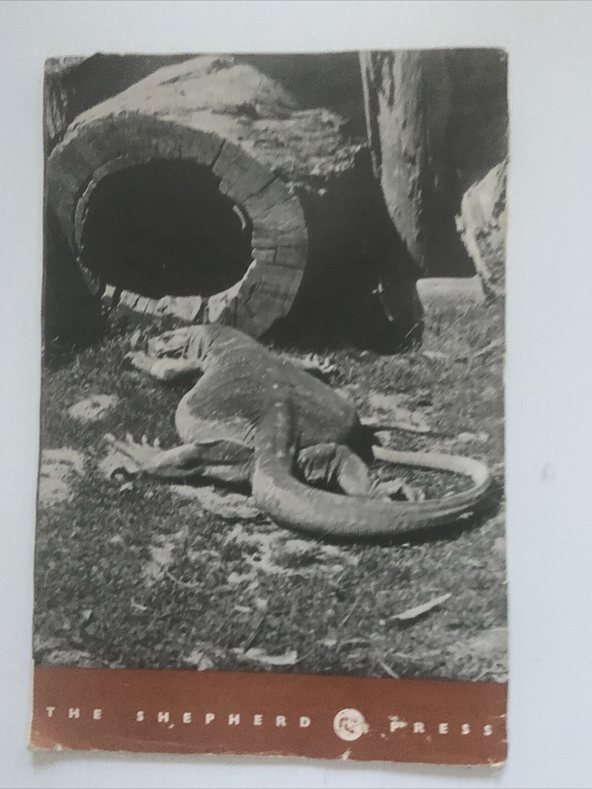 PB BUSH ANIMALS OF AUSTRALIA Alex Poignant J.R.Kinghorn Ellis Troughton LGE 1954