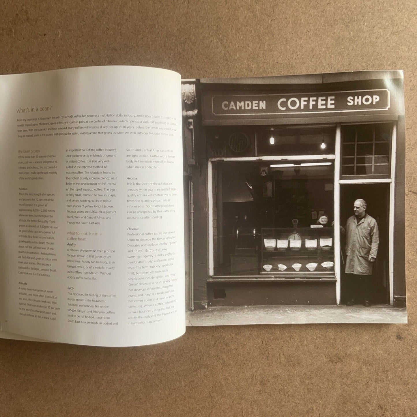Cookbook COFFEE AND BITES by Susie Theodorou PB 2001 Inscribed Recipes