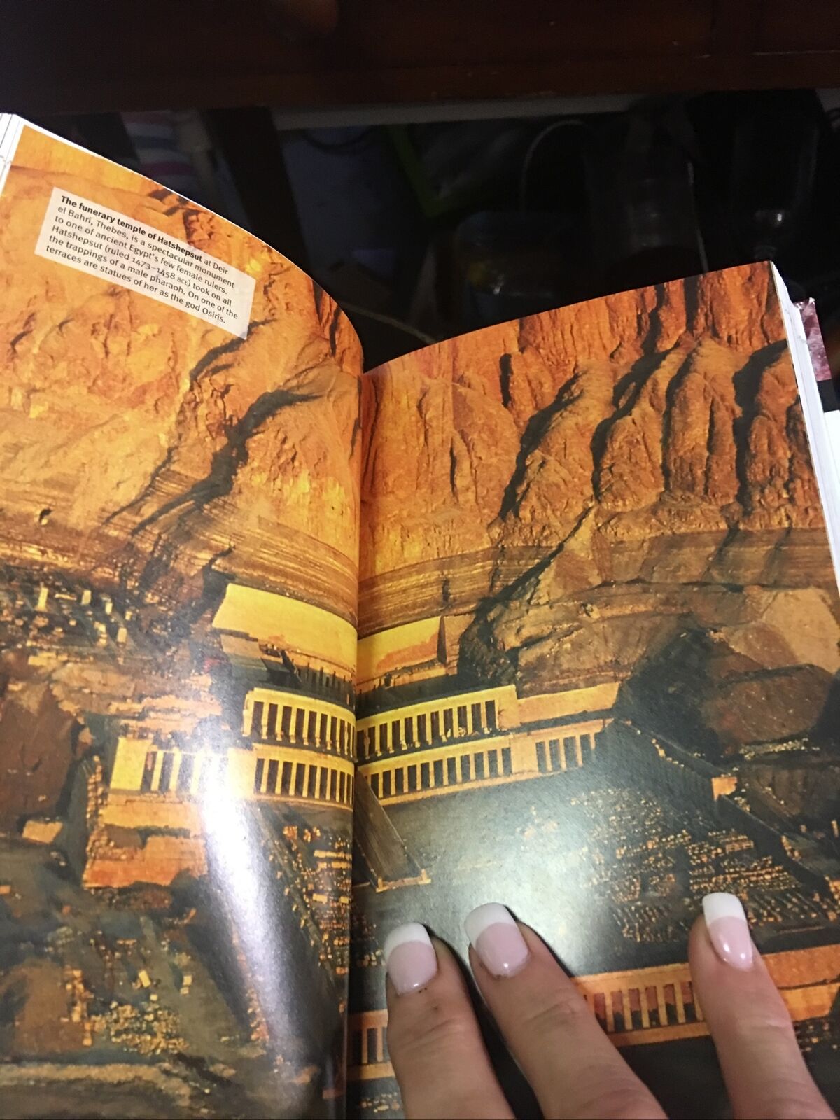 PB Book WORLD HISTORY Eyewitness Companions Philip Parker 2010 New