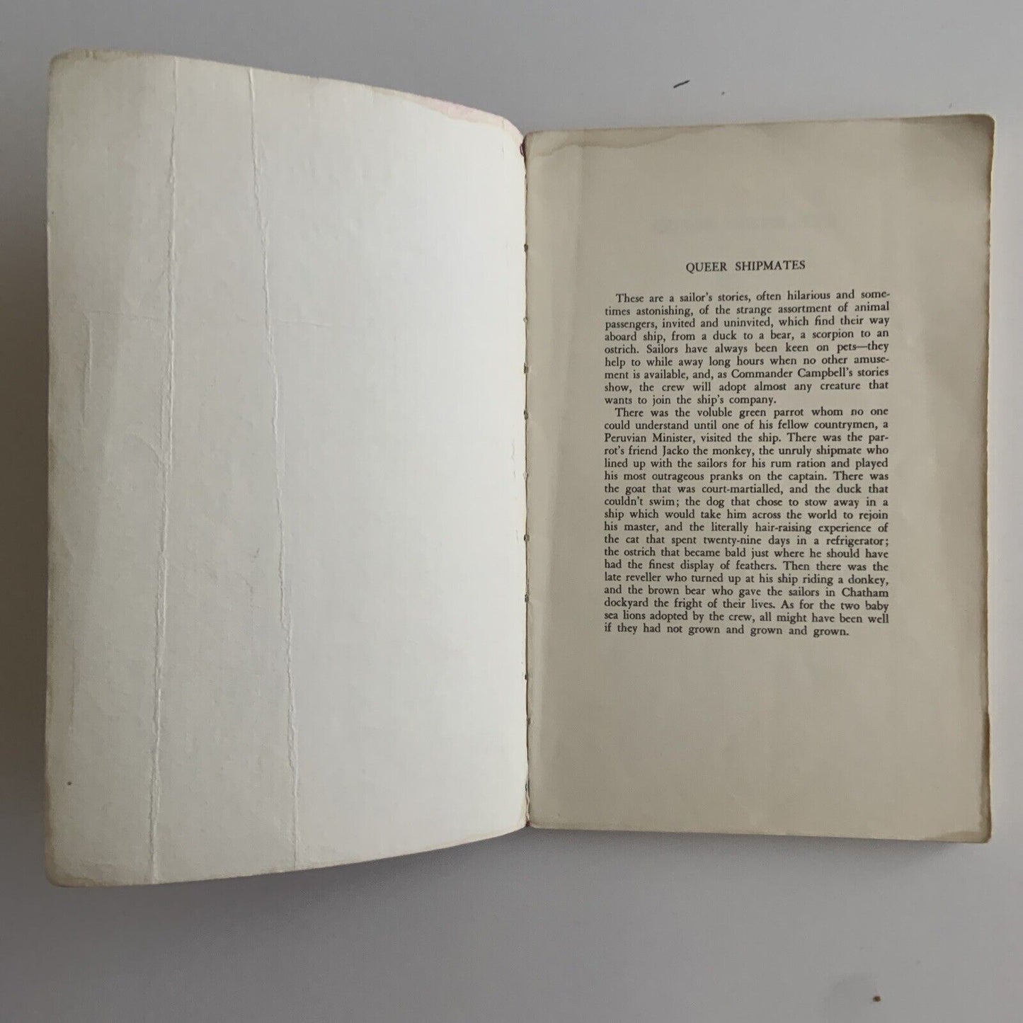 PB Book QUEER SHIPMATES by Commander A B Campbell Sailors Vintage 1962