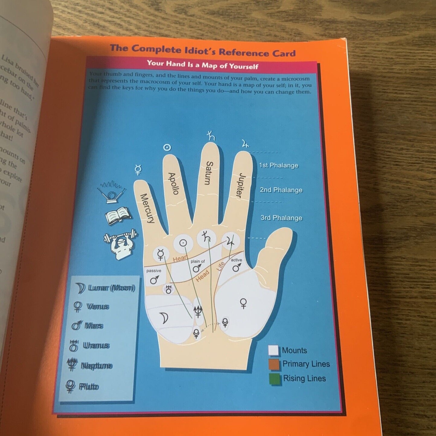PB Book The Complete Idiot's Guide to PALMISTRY by Robin Gile Lisa Lenard 1999