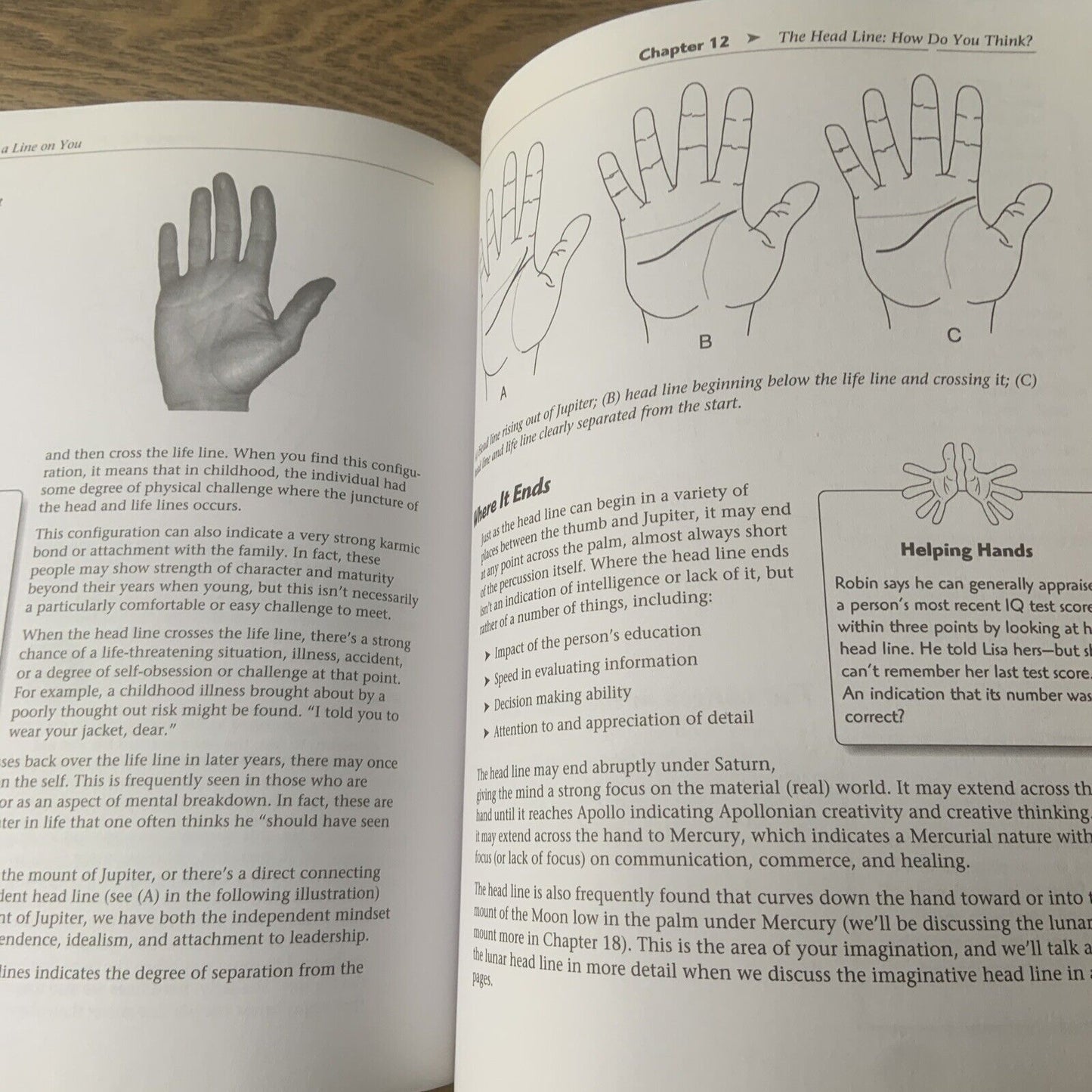 PB Book The Complete Idiot's Guide to PALMISTRY by Robin Gile Lisa Lenard 1999