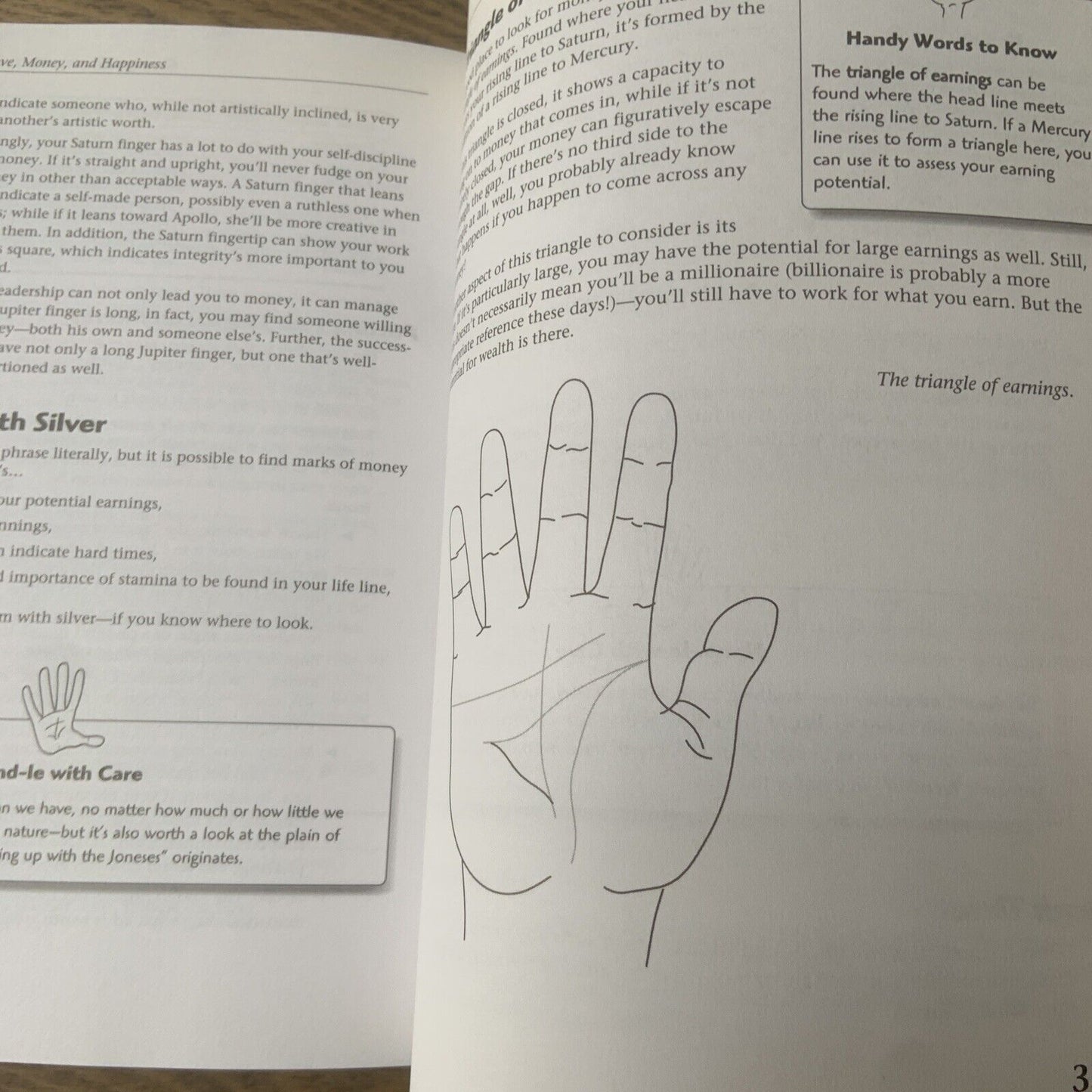PB Book The Complete Idiot's Guide to PALMISTRY by Robin Gile Lisa Lenard 1999