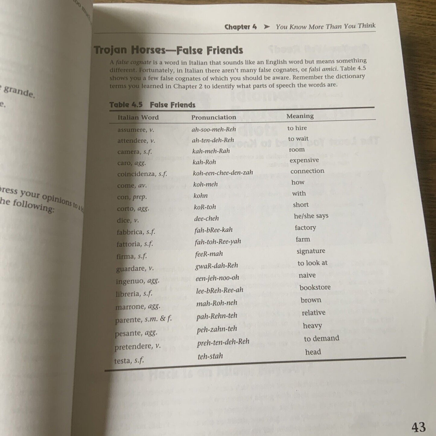 PB Complete Idiot's Guide to LEARNING ITALIAN on Your Own Gabrielle Euvino 2000