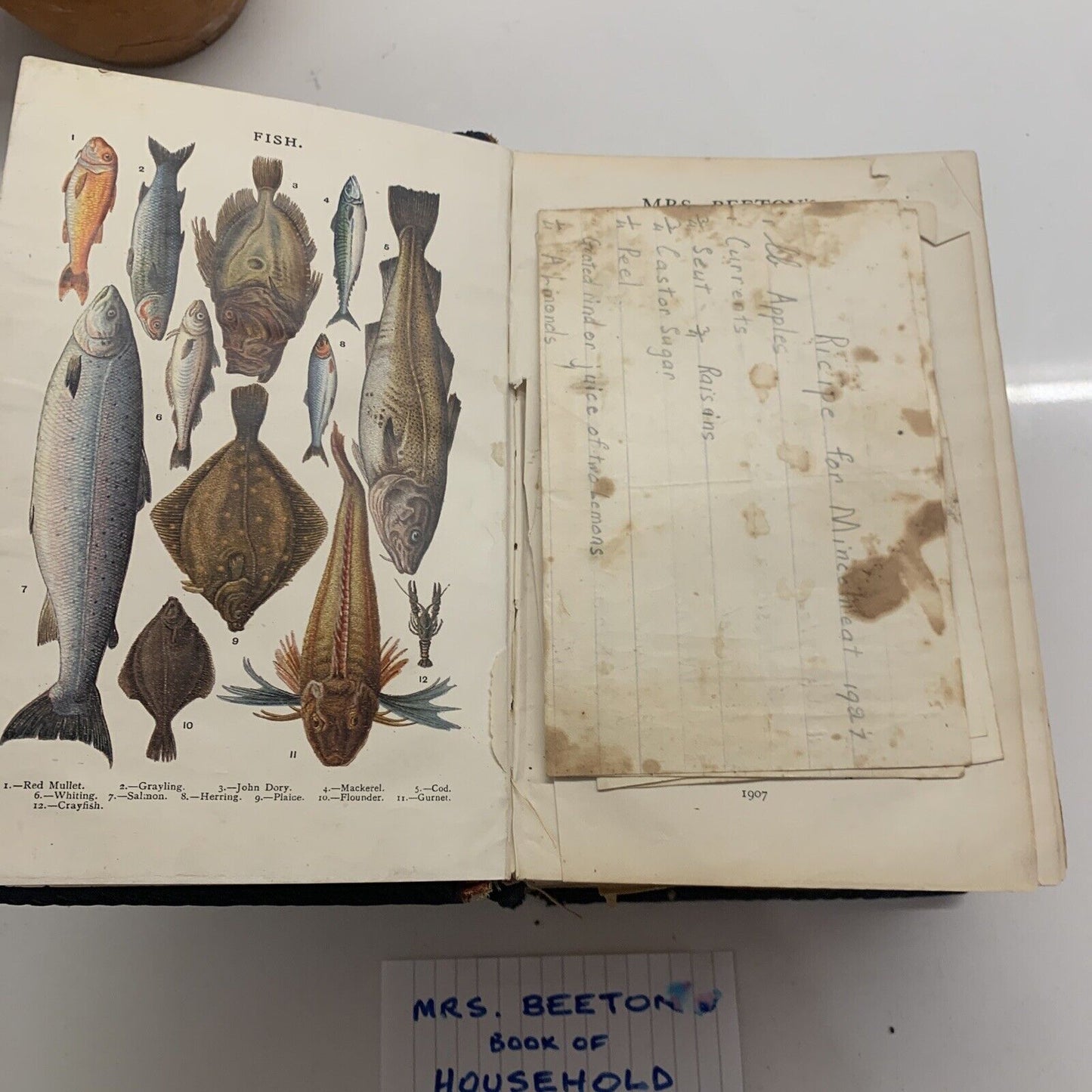 Antique 1907 MRS BEETON’S Everyday Cookery Colour Plates Ward Lock HC BEETON