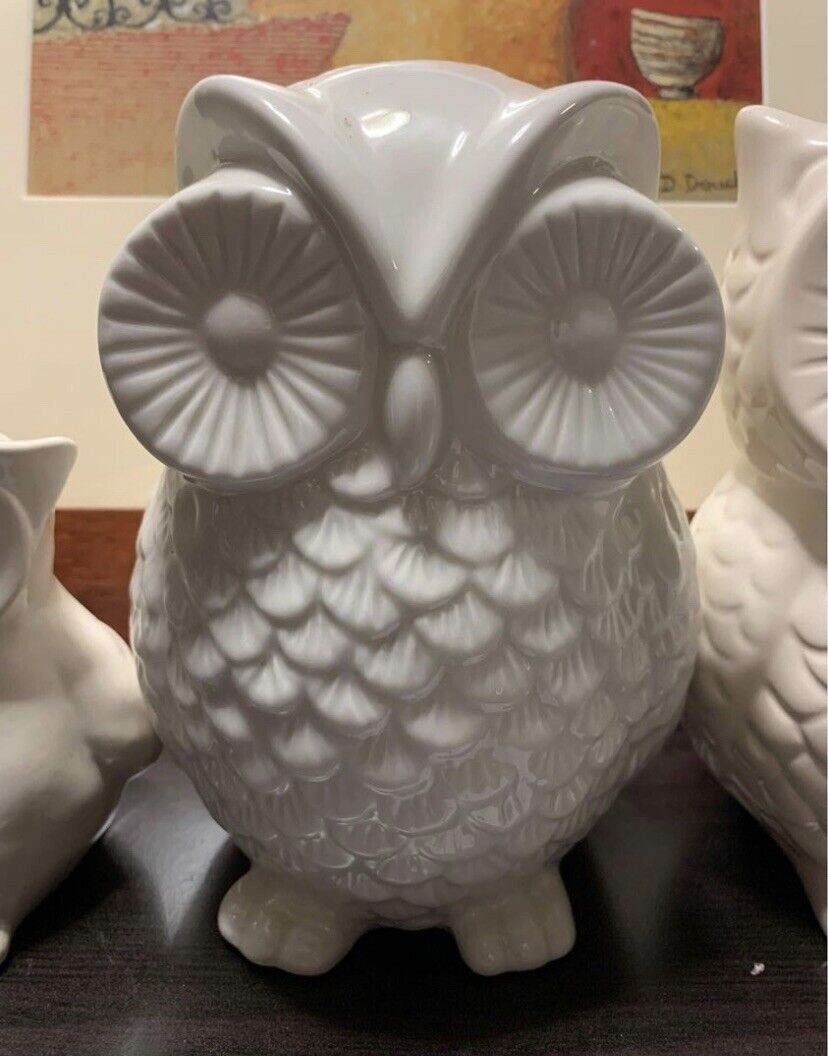 MONEY BOX  1x 22cm White OWL Ceramic + 2x 13cm & 20cm Owl Figurines Decor TRIO