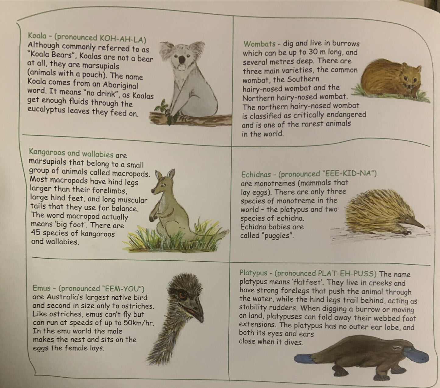 PB Book The Aussie Outback School w CD MEGAN BARLETT-HORNE  lg text colour pic