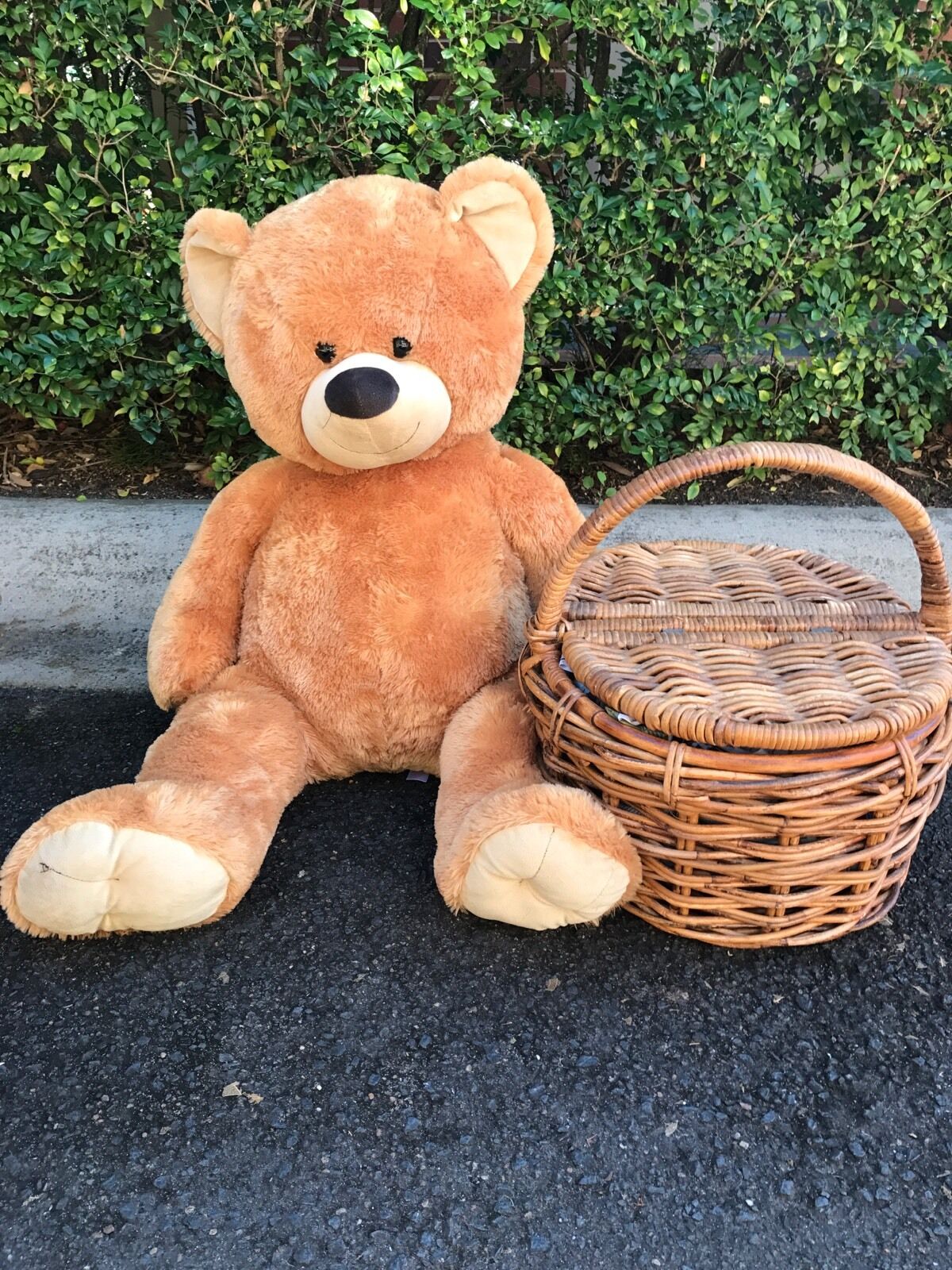 TEDDY BEAR Play Pal OR Body Pillow Soft Toy Plush 2012 Extra Large