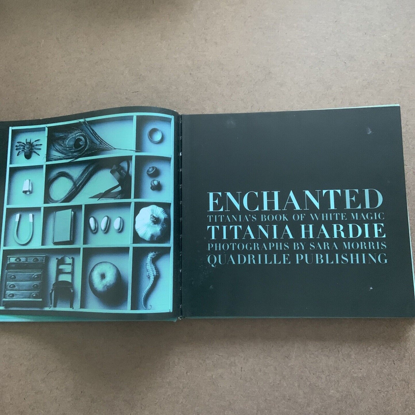 ENCHANTED Titania's Book of White Magic Titania Hardie Sara Morris Photos Suede