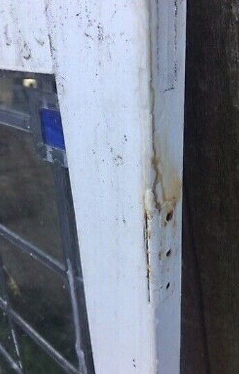 Rustic Leadlight  Panels x 2 Vintage Federation in Timber Window Frames British