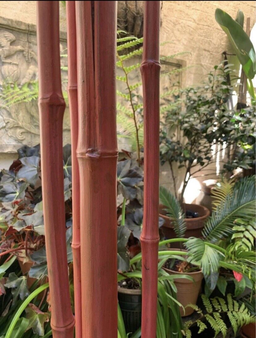 Bamboo Cane Coat Hat Stand Antique 1920s Stand Original Muted Red Paint Vintage