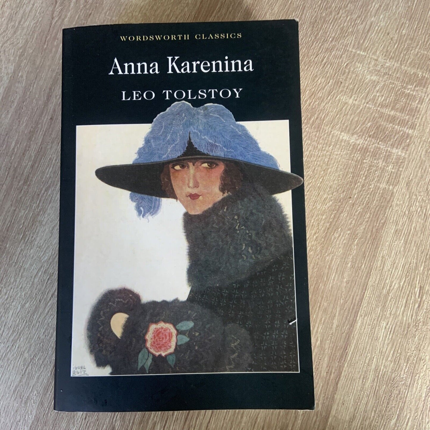 2 Books Anna Karenina & Jane Eyre Wordsworth Classics English Literature Novels