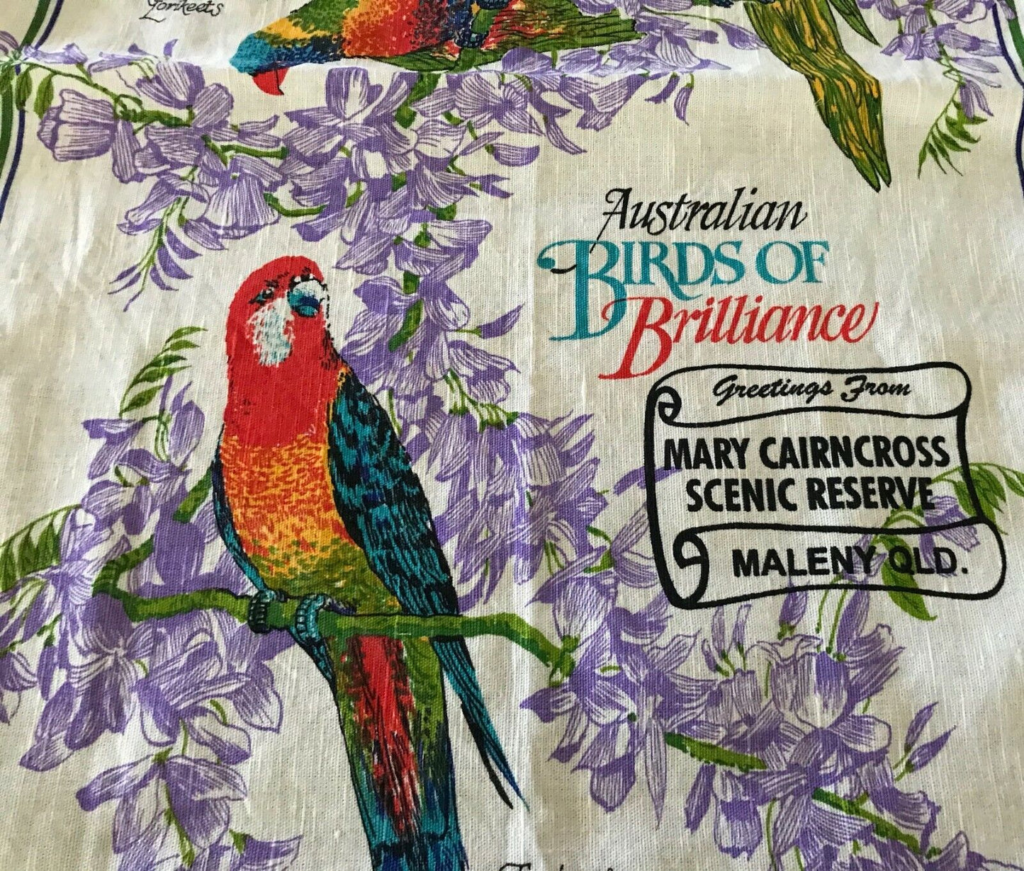 Tea Towel MARY CAIRNCROSS SCENIC RESERVE Maleny QLD Australia Birds Souvenir NEW