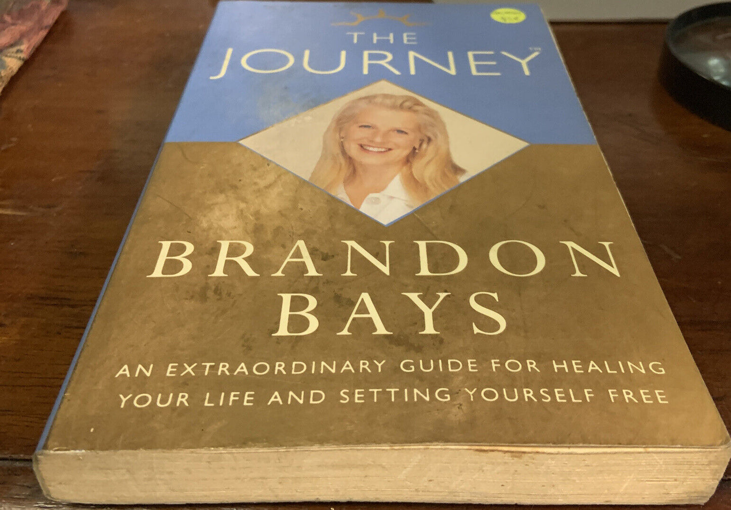 PB THE JOURNEY by Brandon Bays Guide for Healing Your Life Self Help Book 2003