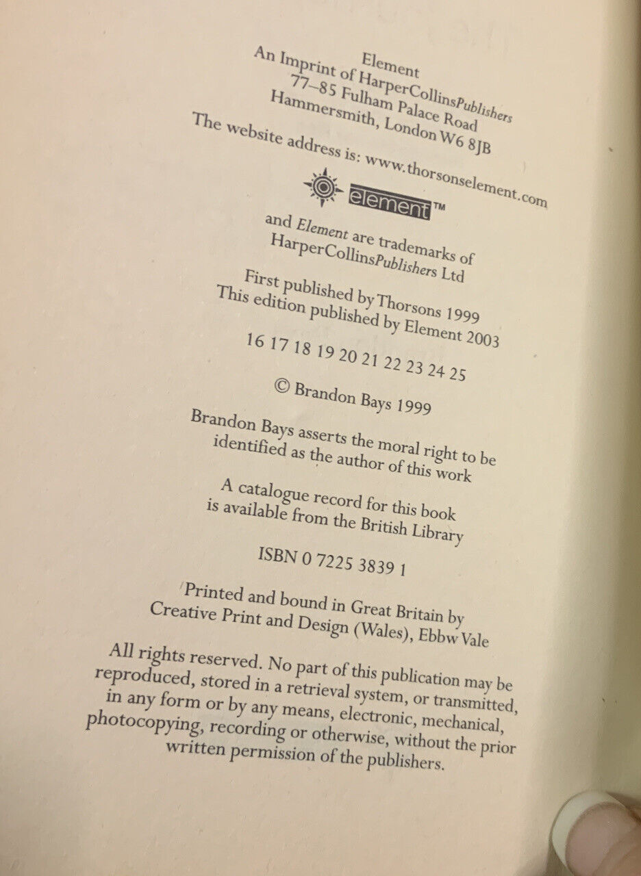 PB THE JOURNEY by Brandon Bays Guide for Healing Your Life Self Help Book 2003