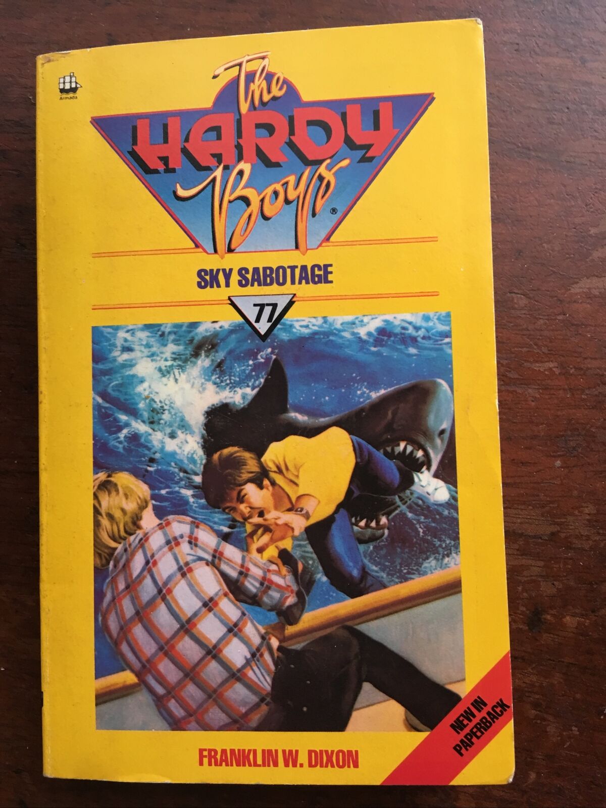 PB Book The Hardy Boys Mystery Stories #77 SKY SABOTAGE Franklin W Dixon 1983