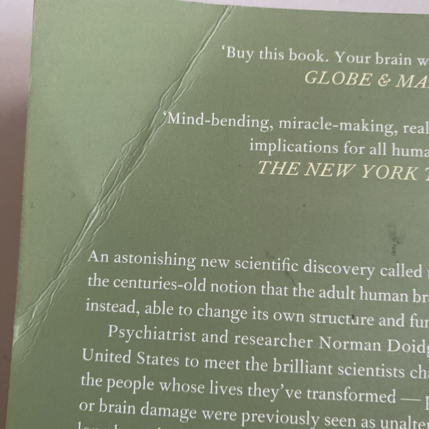 PB Book Brain That Changes Itself Norman Doidge Psychology Health 2009 True