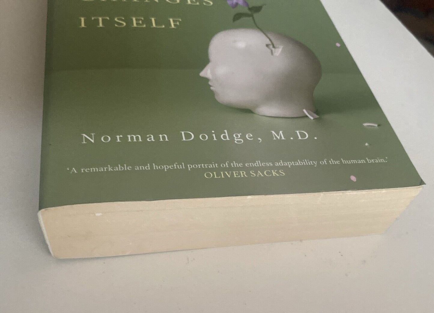 PB Book Brain That Changes Itself Norman Doidge Psychology Health 2009 True