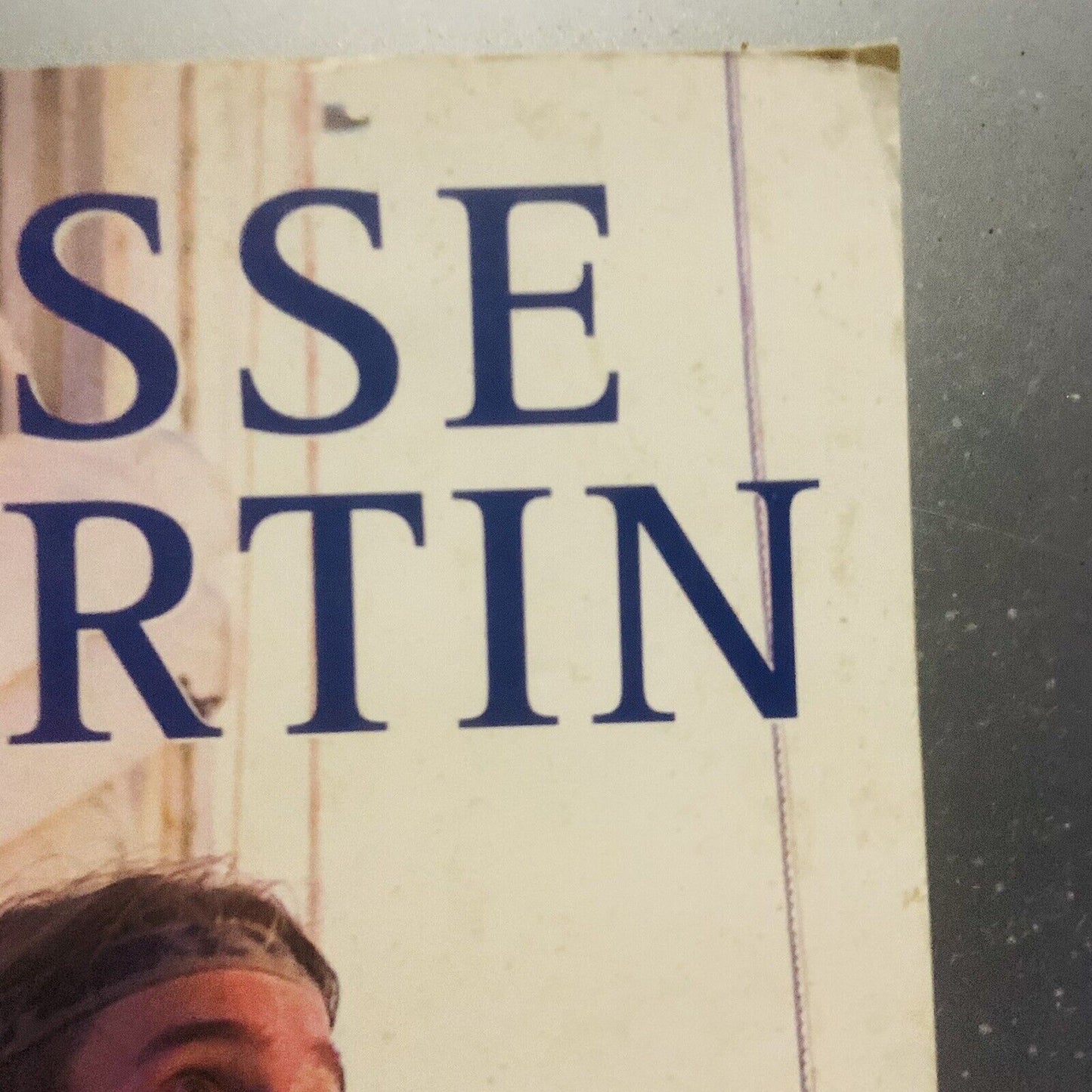 PB Book LIONHEART Journey of the Human Spirit by Jesse Martin True Story Memoir