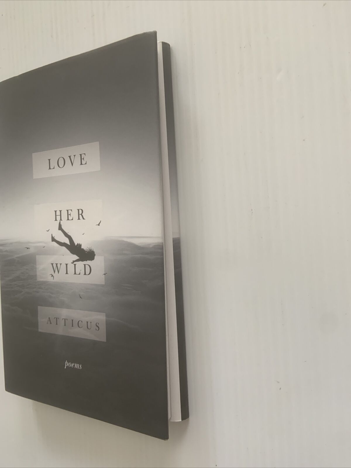 HC Book LOVE HER WILD ATTICUS POEMS w DJ Great Gift NEW