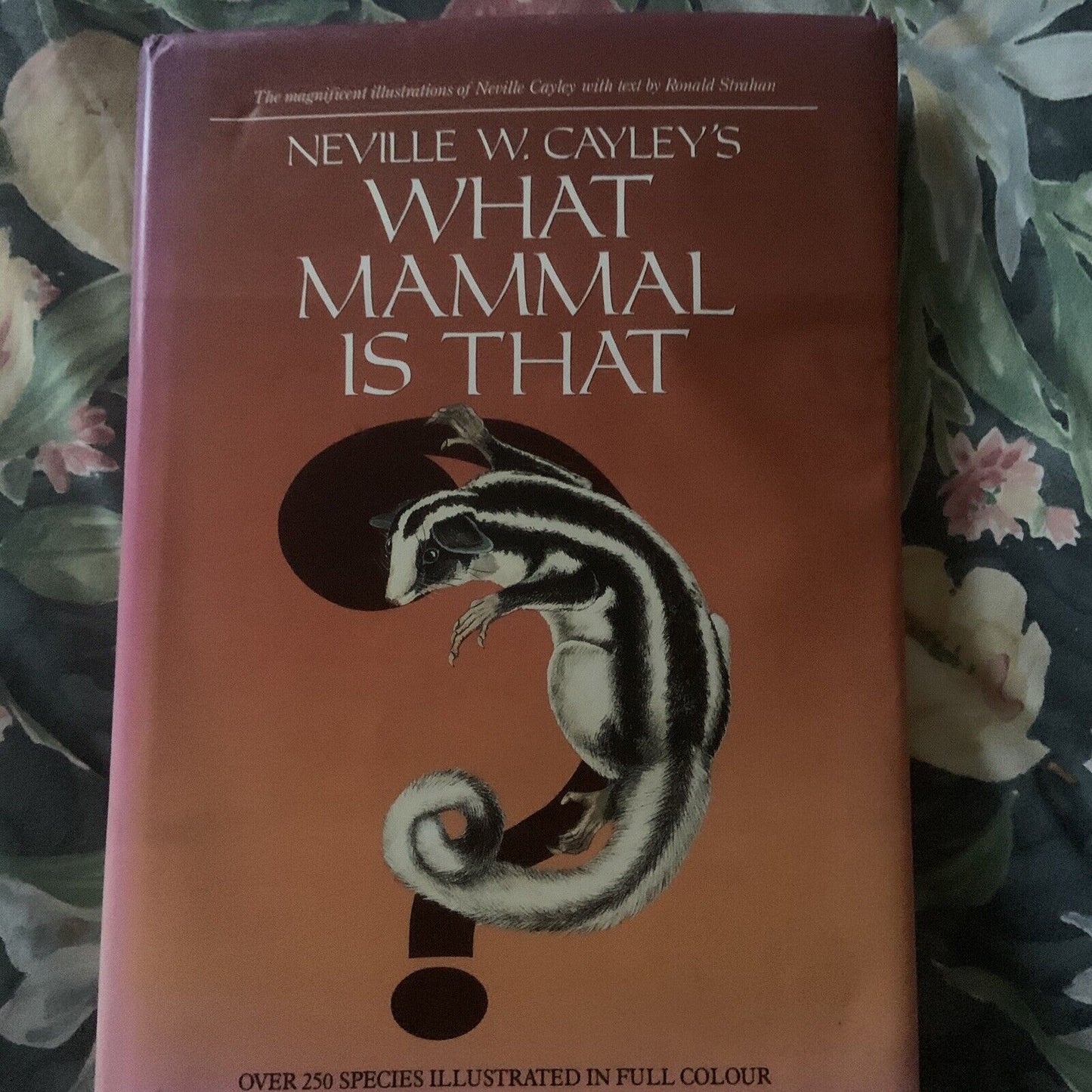 WHAT MAMMALS IS THAT ? Neville W Cayley's Large HC DJ  Illustrated 1987