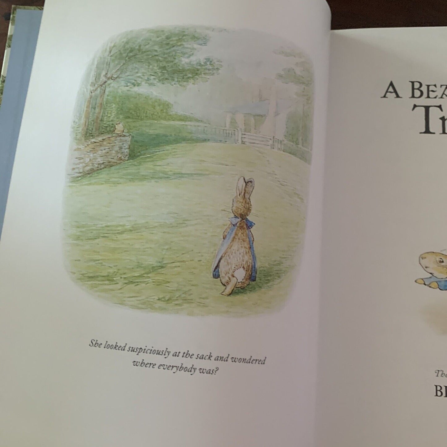 HC A Beatrix Potter Treasury The Original and Authorized Edition 10 Stories DJ
