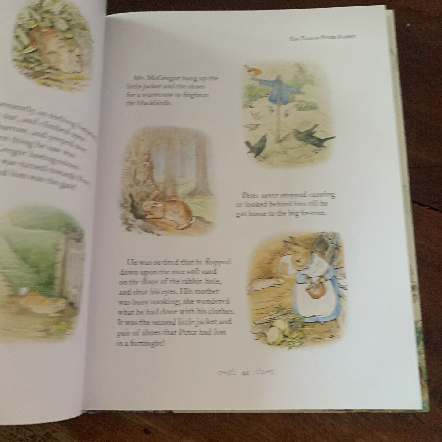 HC A Beatrix Potter Treasury The Original and Authorized Edition 10 Stories DJ