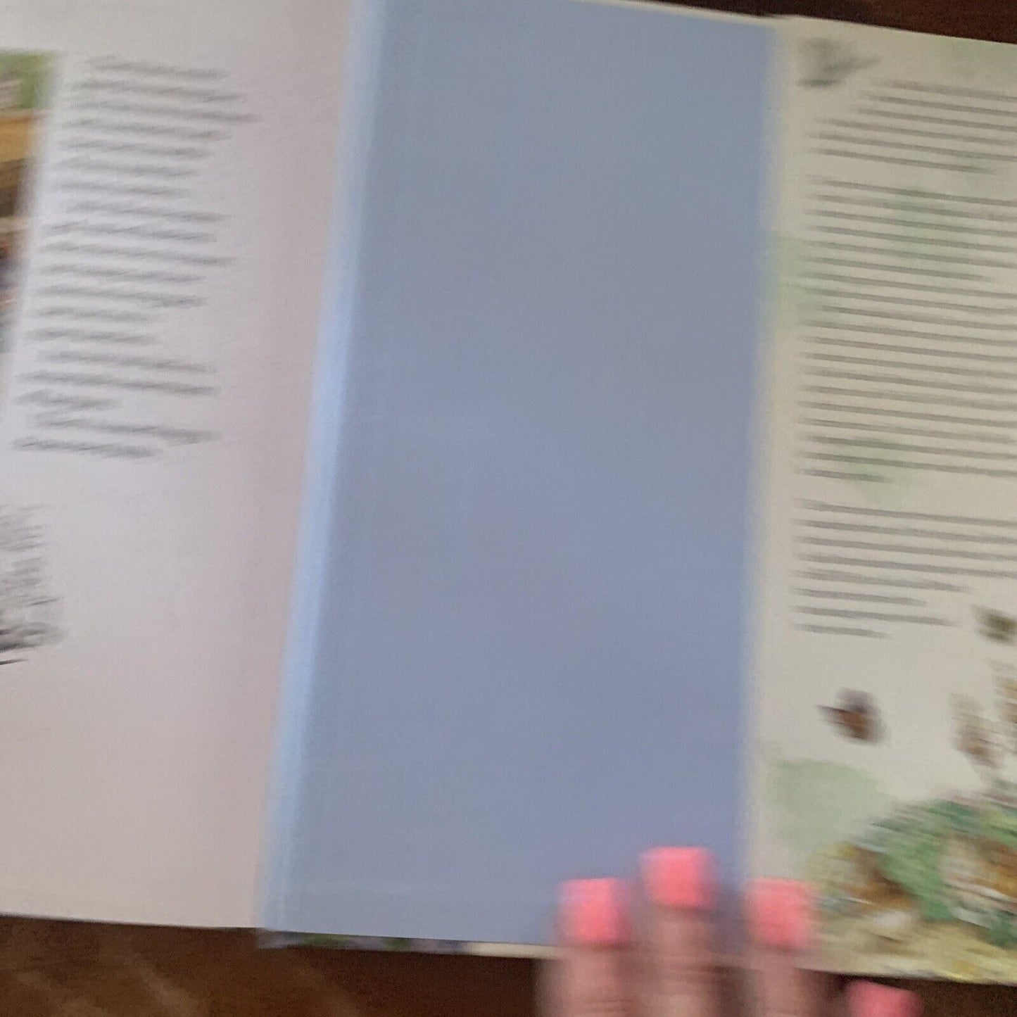 HC A Beatrix Potter Treasury The Original and Authorized Edition 10 Stories DJ